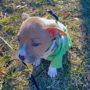 Meet your Posher, Isatu